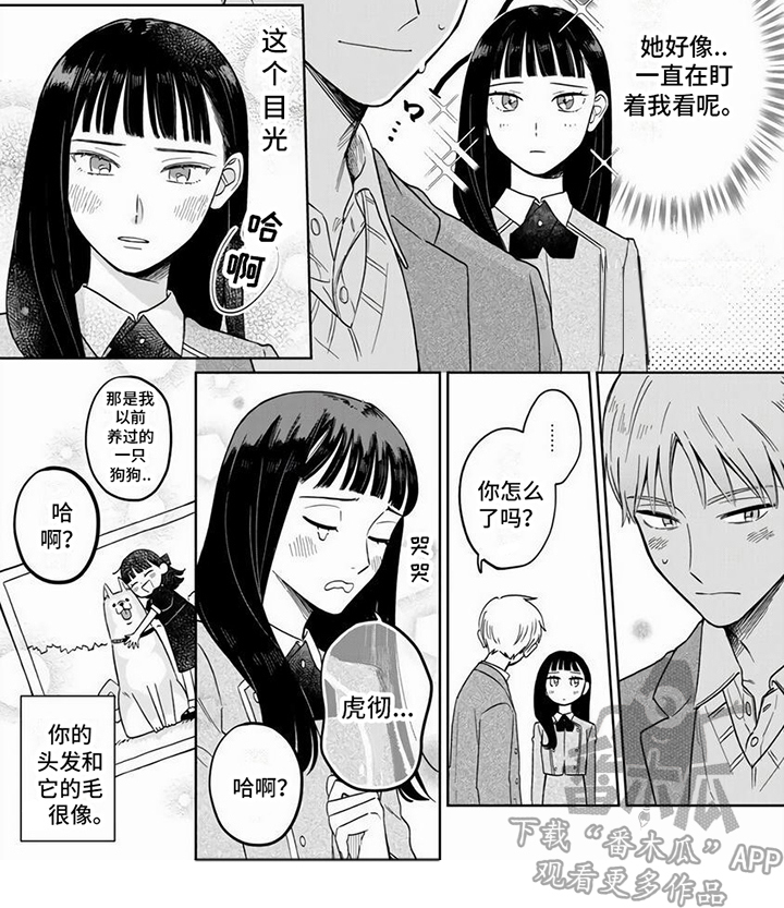 第16章：【番外】两人的变化8