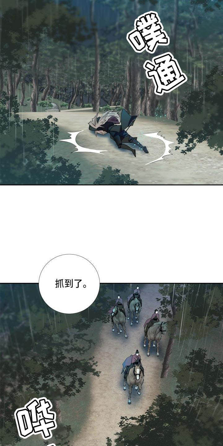 第1章：雨林抓捕6