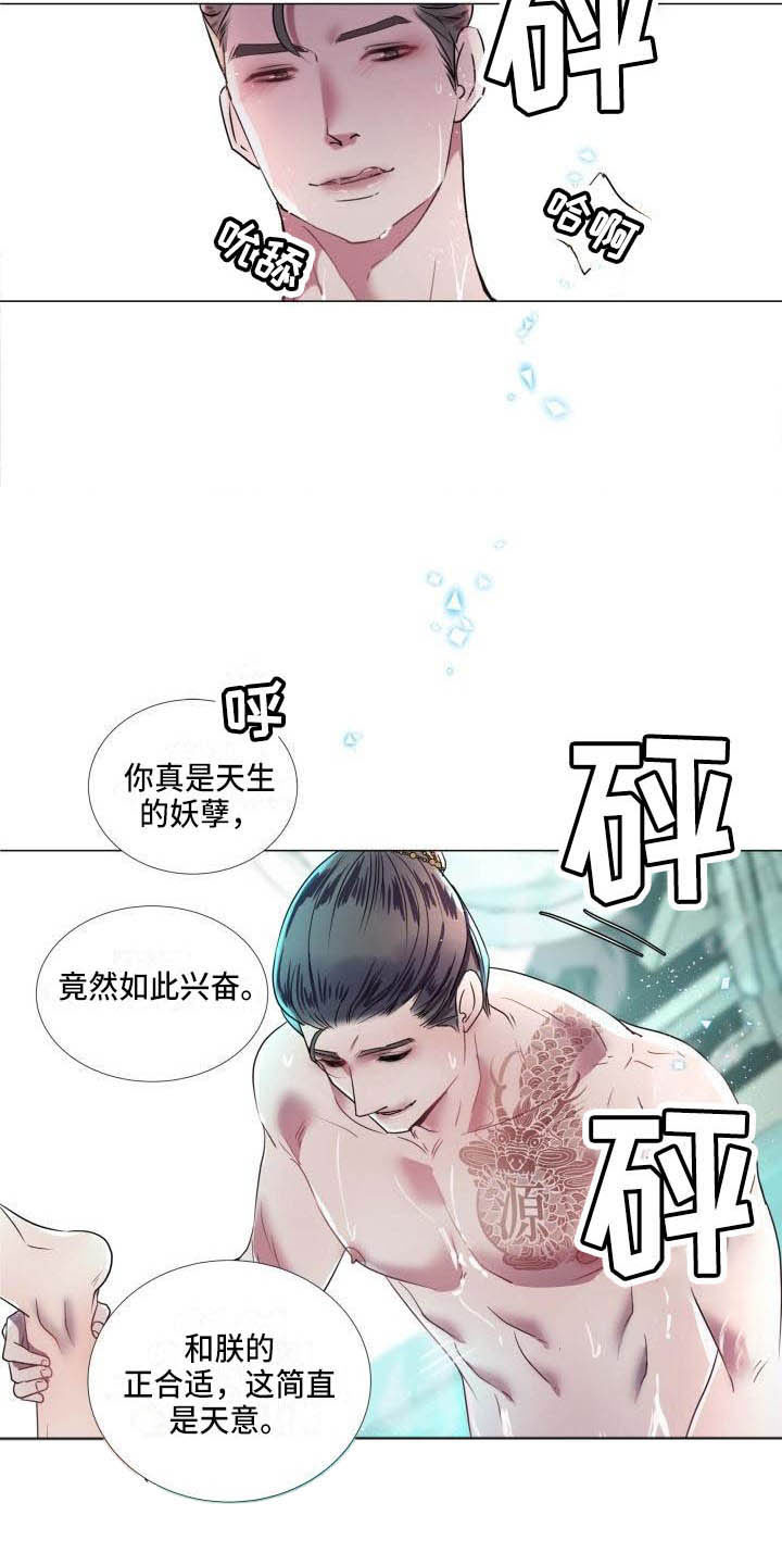 第11章：为他而生14