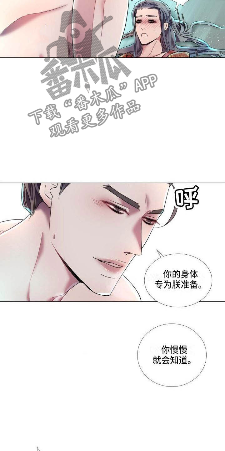 第11章：为他而生7