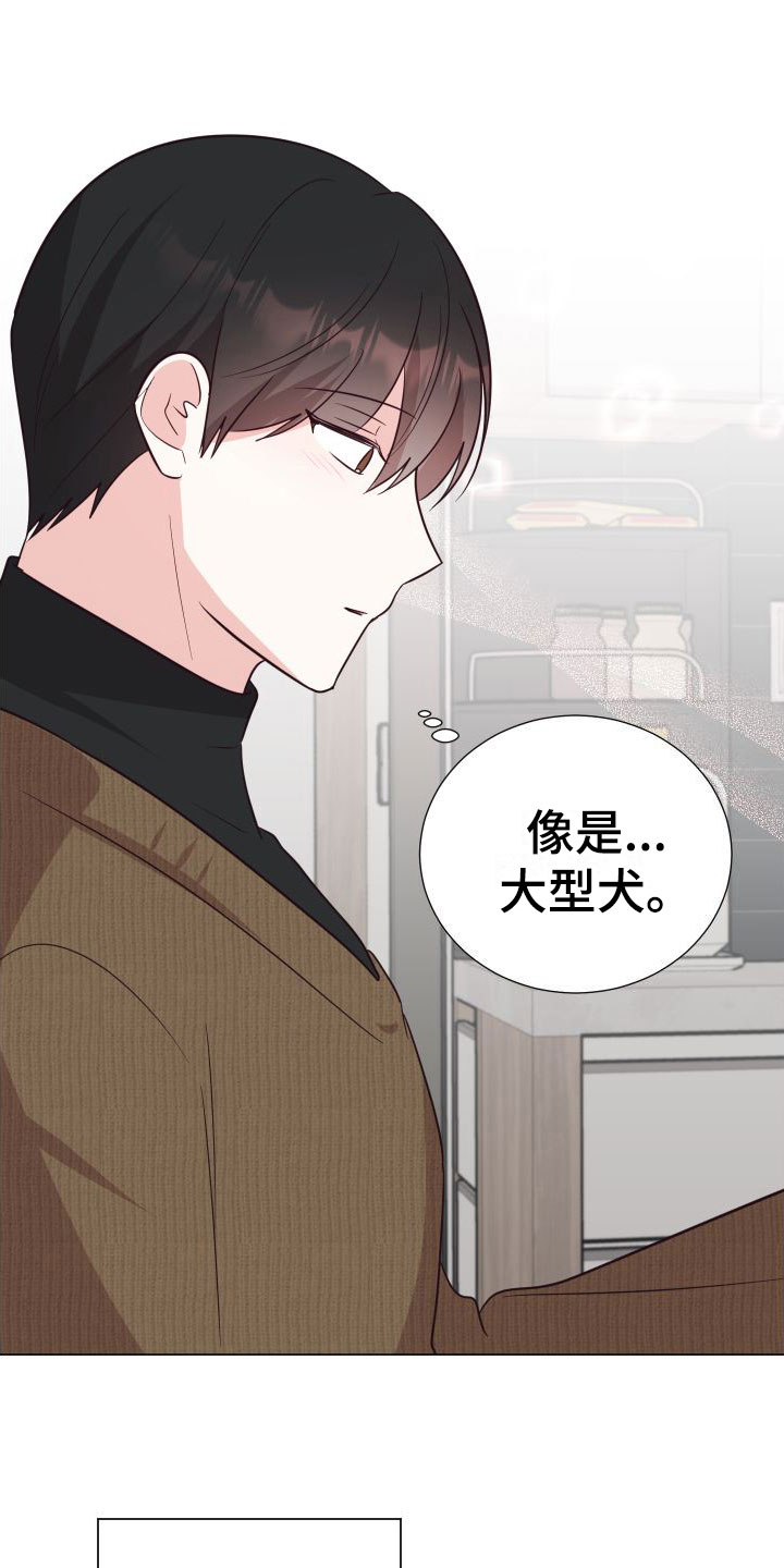 第8章：可爱18