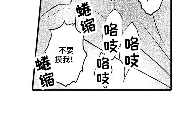 第13章：我行我素14