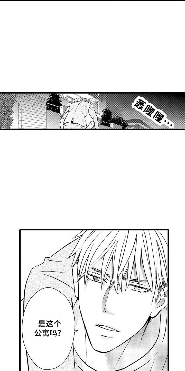 第19章：背回家12