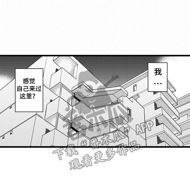 第19章：背回家16