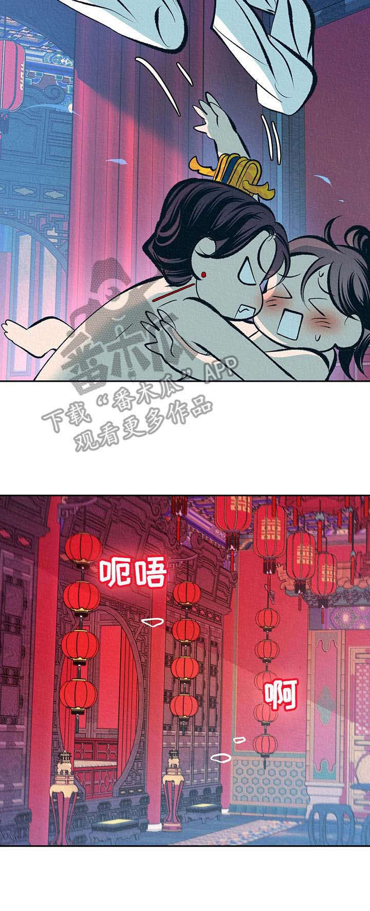 第16章：补药10