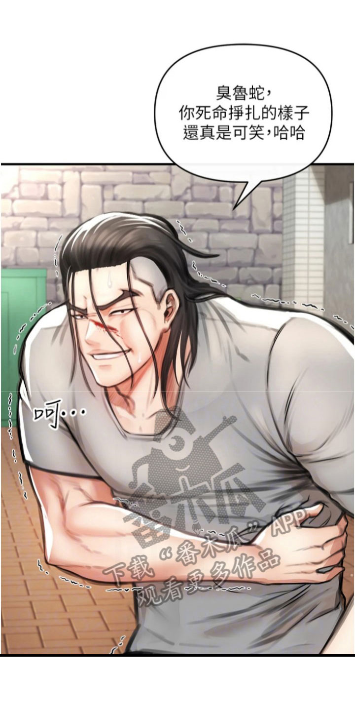 第14章：主导权12