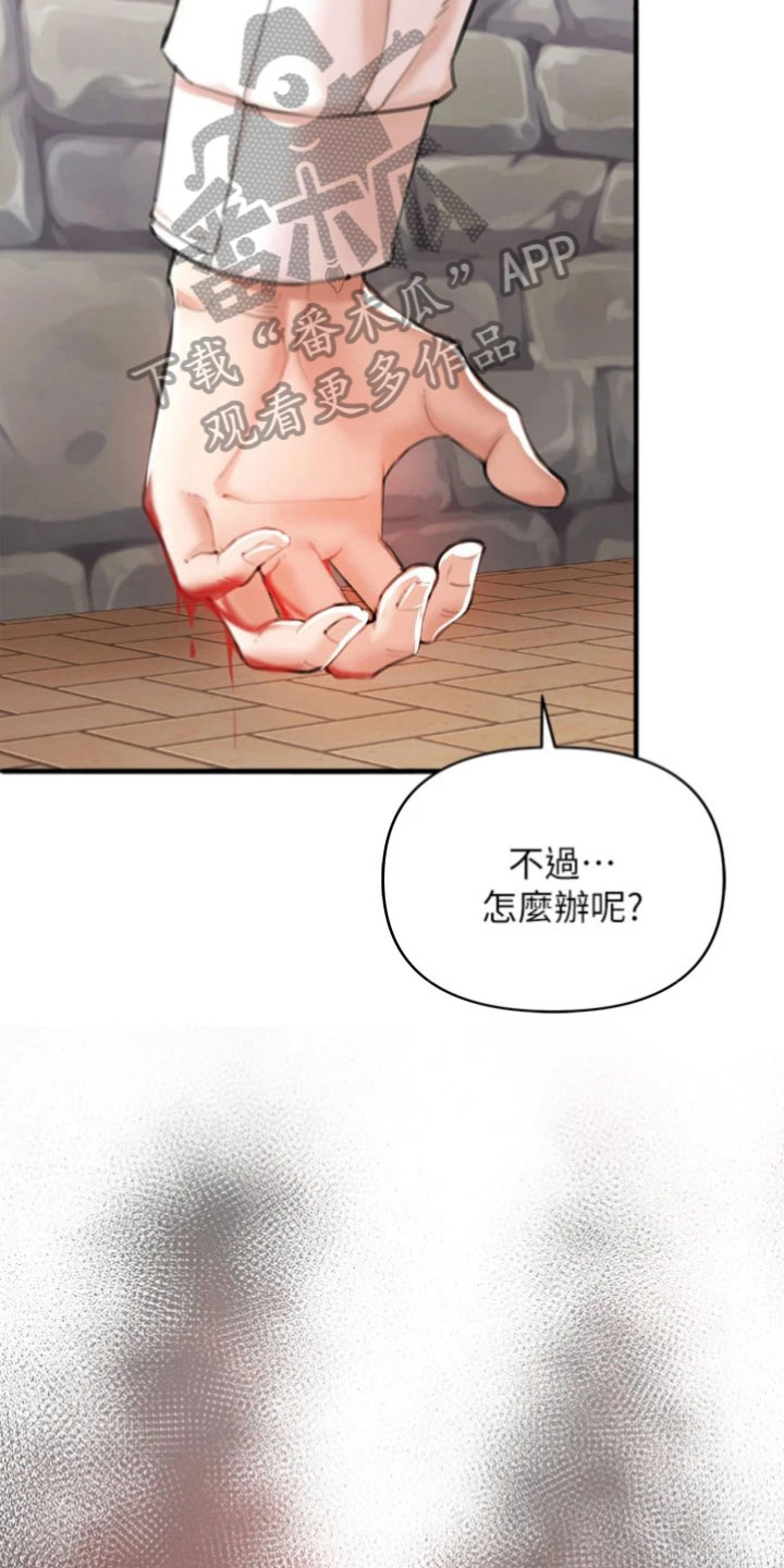 第12章：决斗12