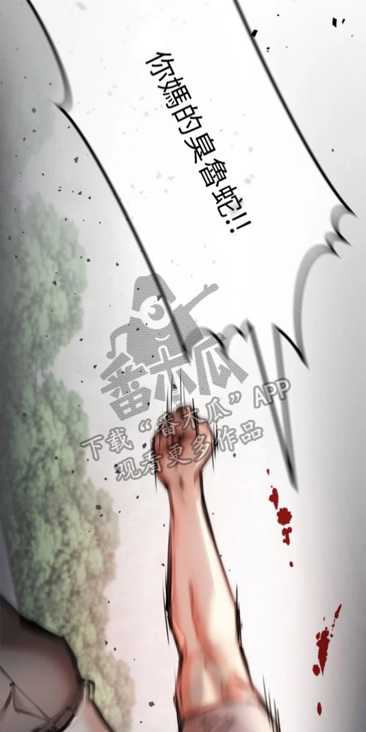 第12章：决斗16