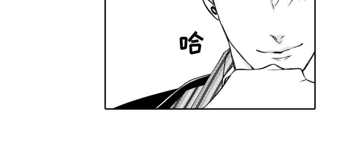 第13章：解释14