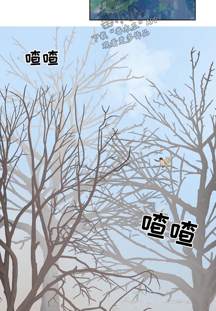 第39章：意外8