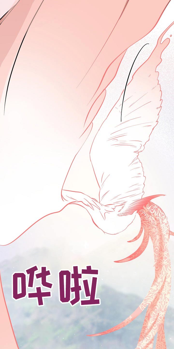 第65章：分别（完结）15