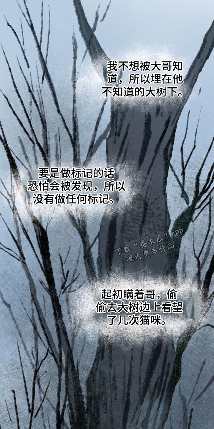 第45章：猫咪12