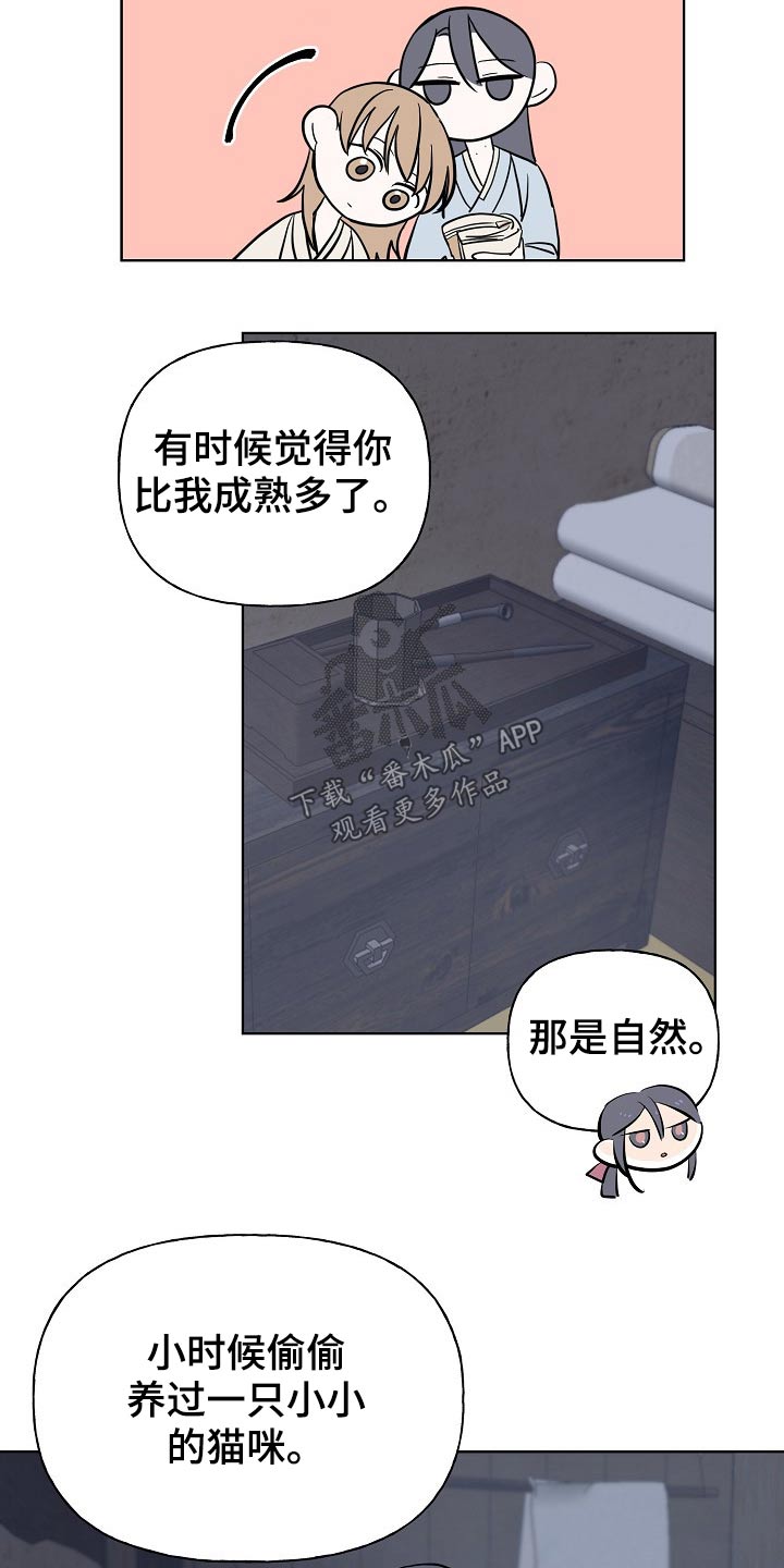 第45章：猫咪9