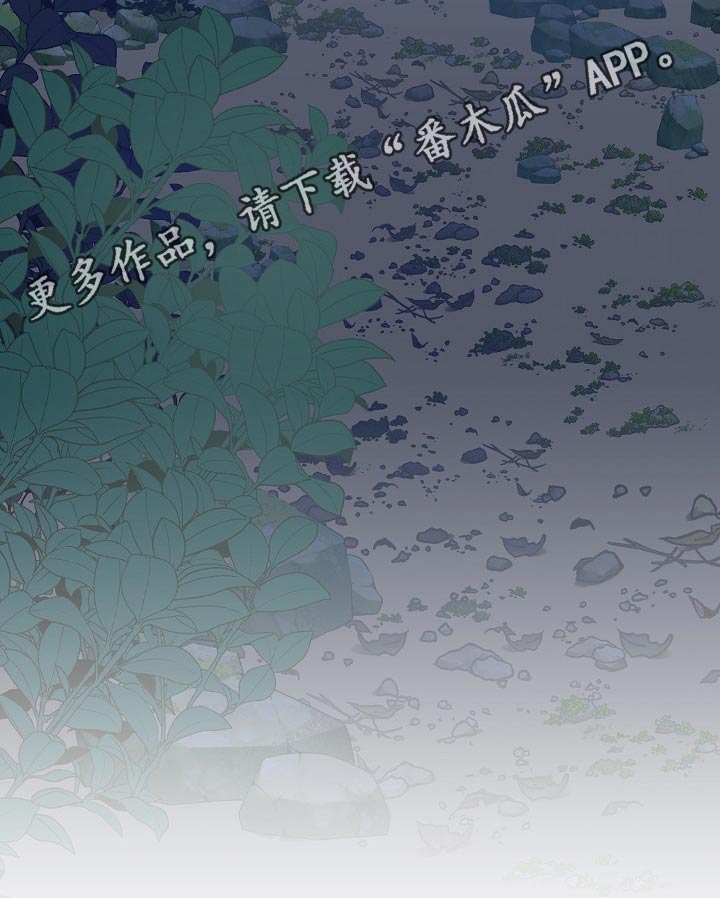 第55章：容颜20