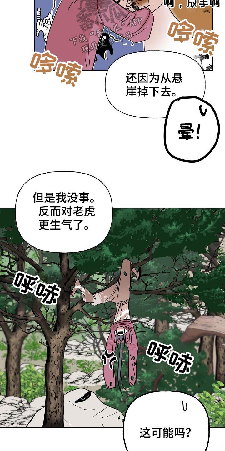 第45章：猫咪17