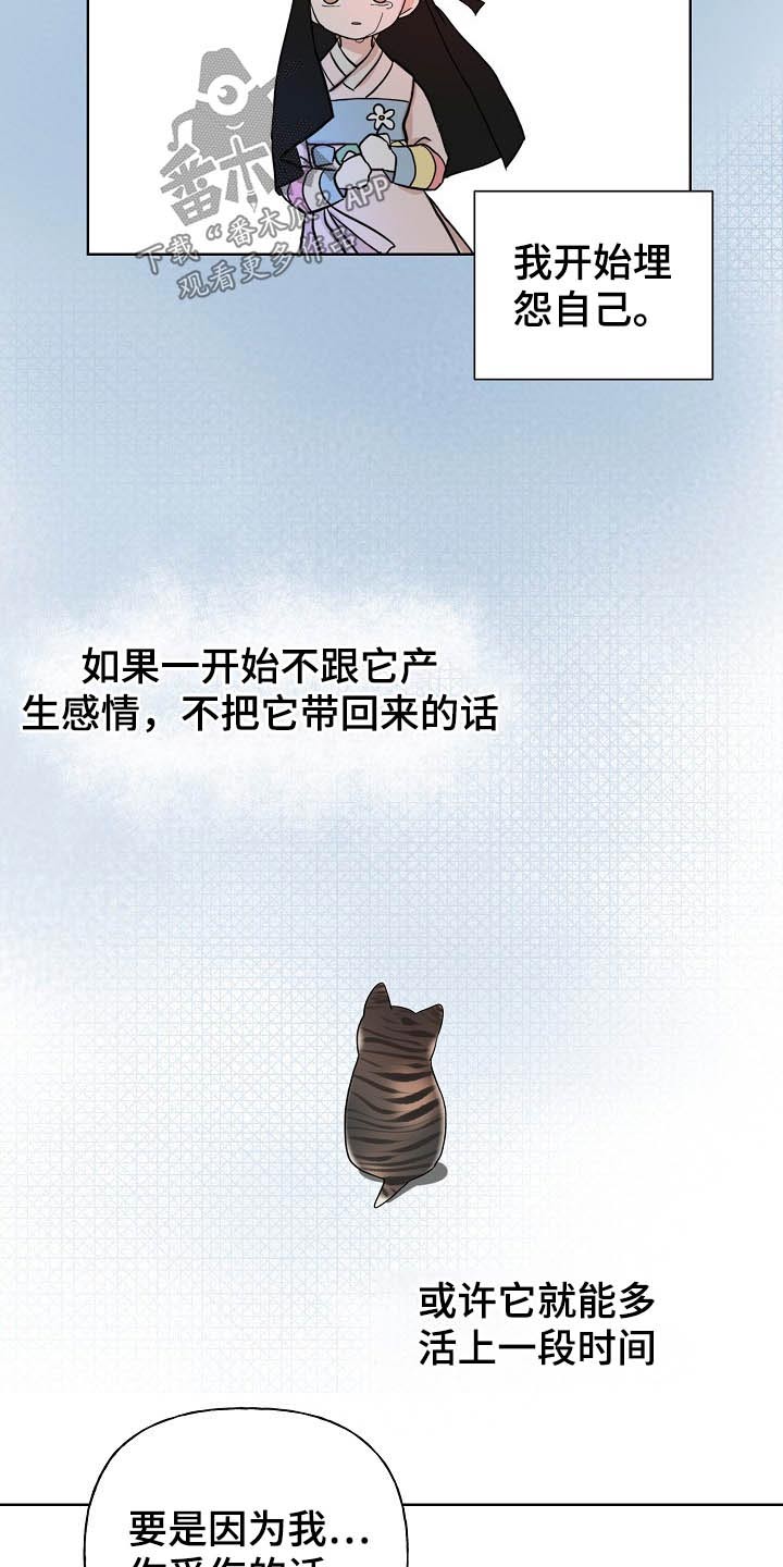 第45章：猫咪14