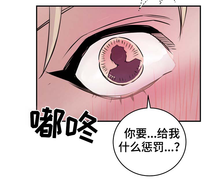 第71章：什么惩罚27
