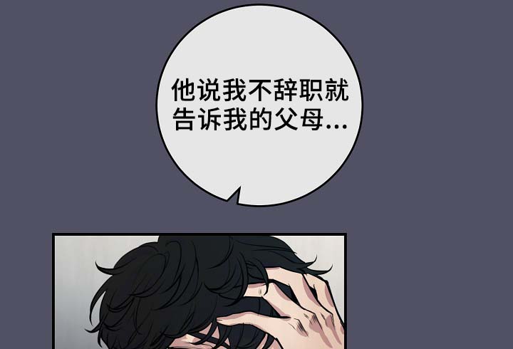 第64章：最耀眼的明星10
