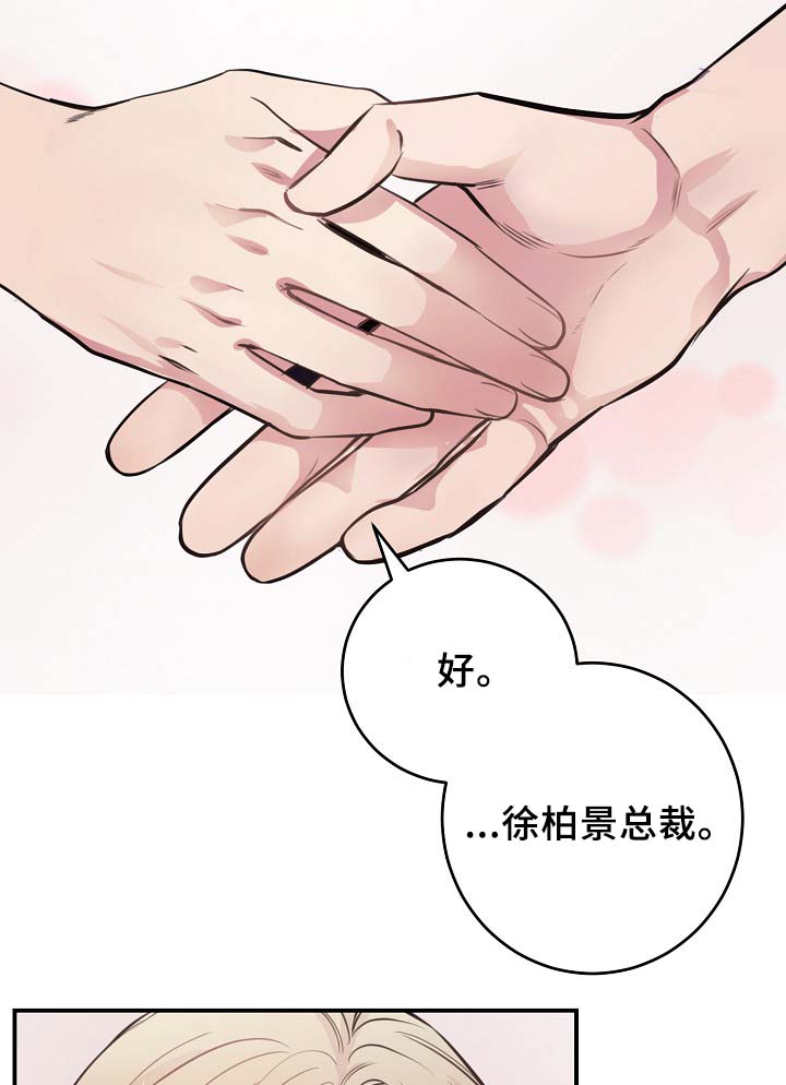 第64章：最耀眼的明星27