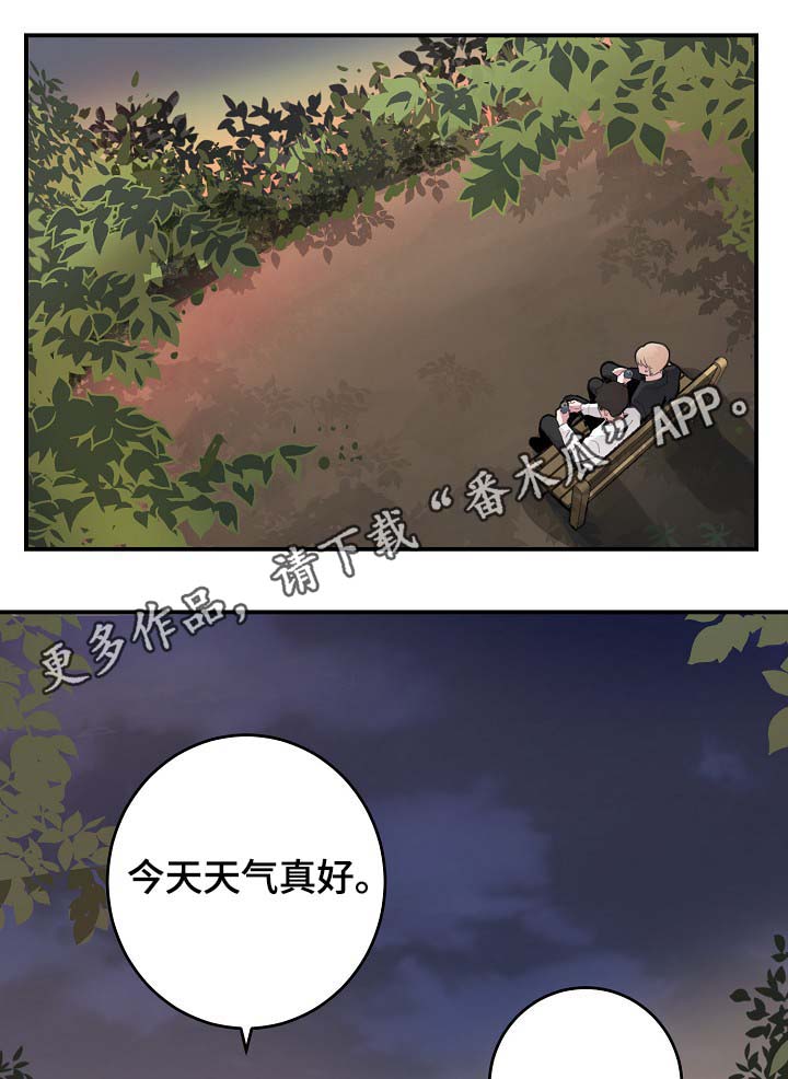 第84章：我只要有你就行（完结）15