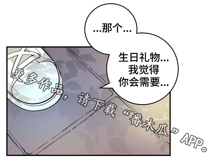 第81章：生日礼物19
