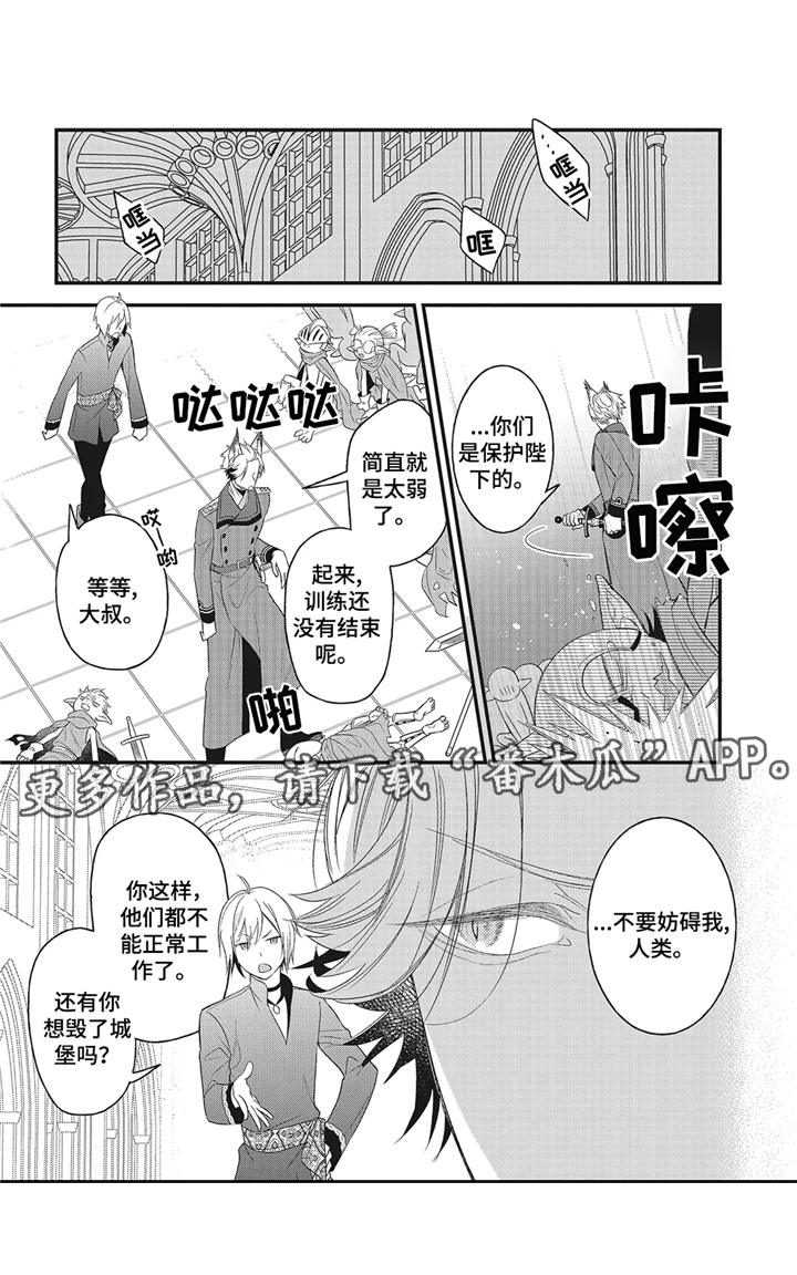第5章：远征12