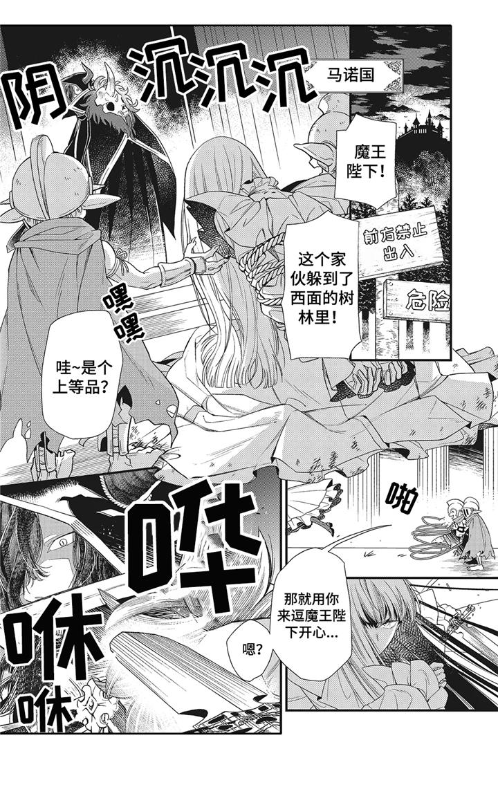 第1章：魔王城1