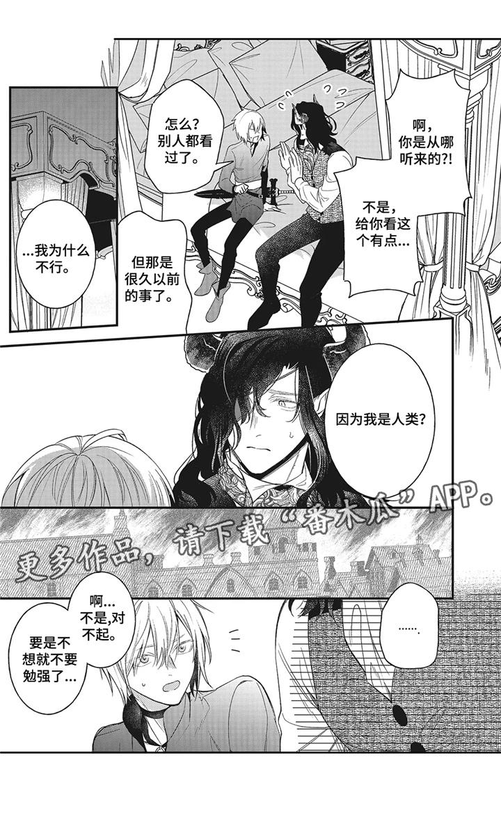 第8章：闹剧13