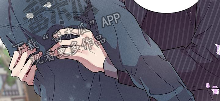 第29章：发展6