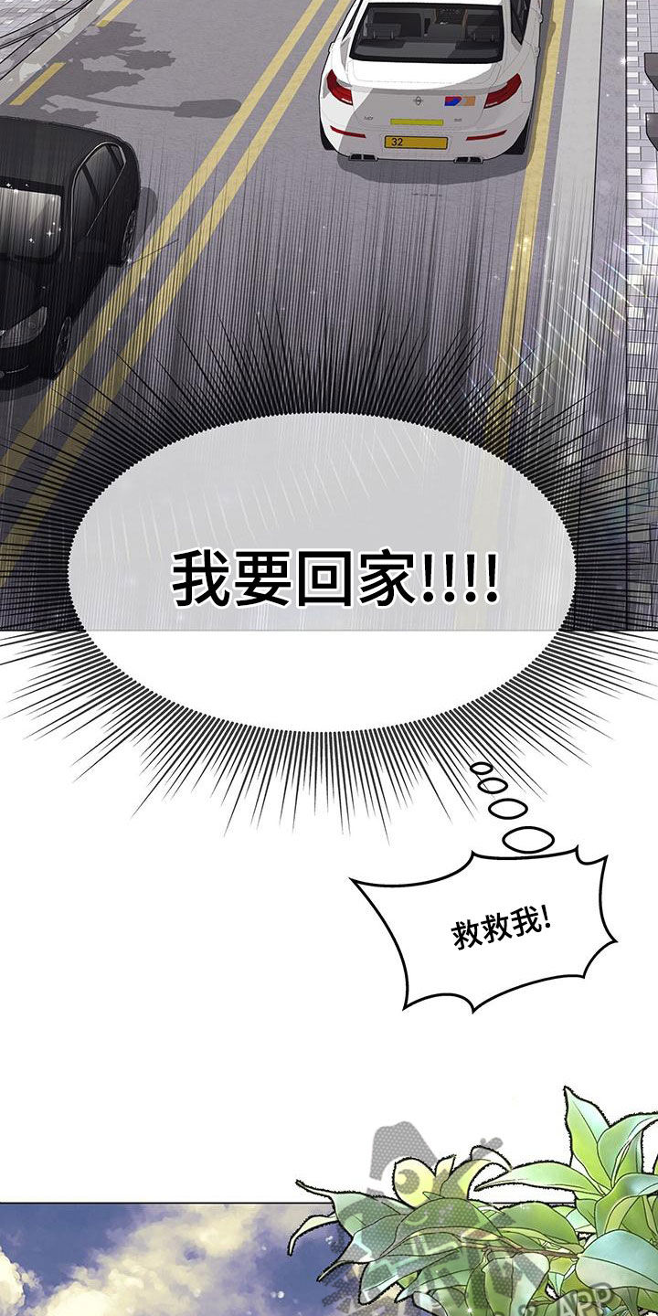第29章：发展16