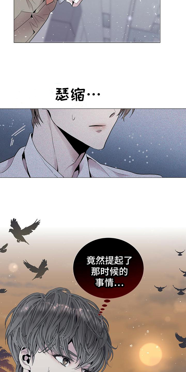 第3章：完美精致15