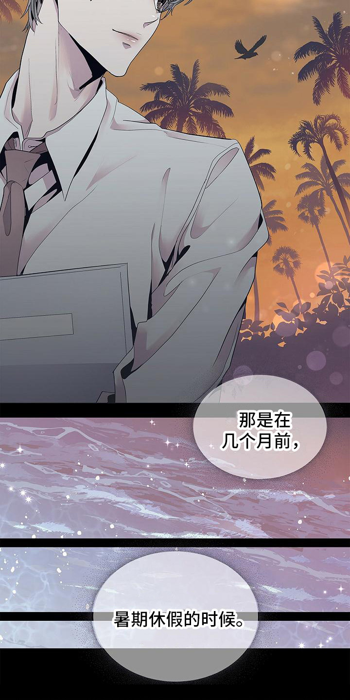 第3章：完美精致16