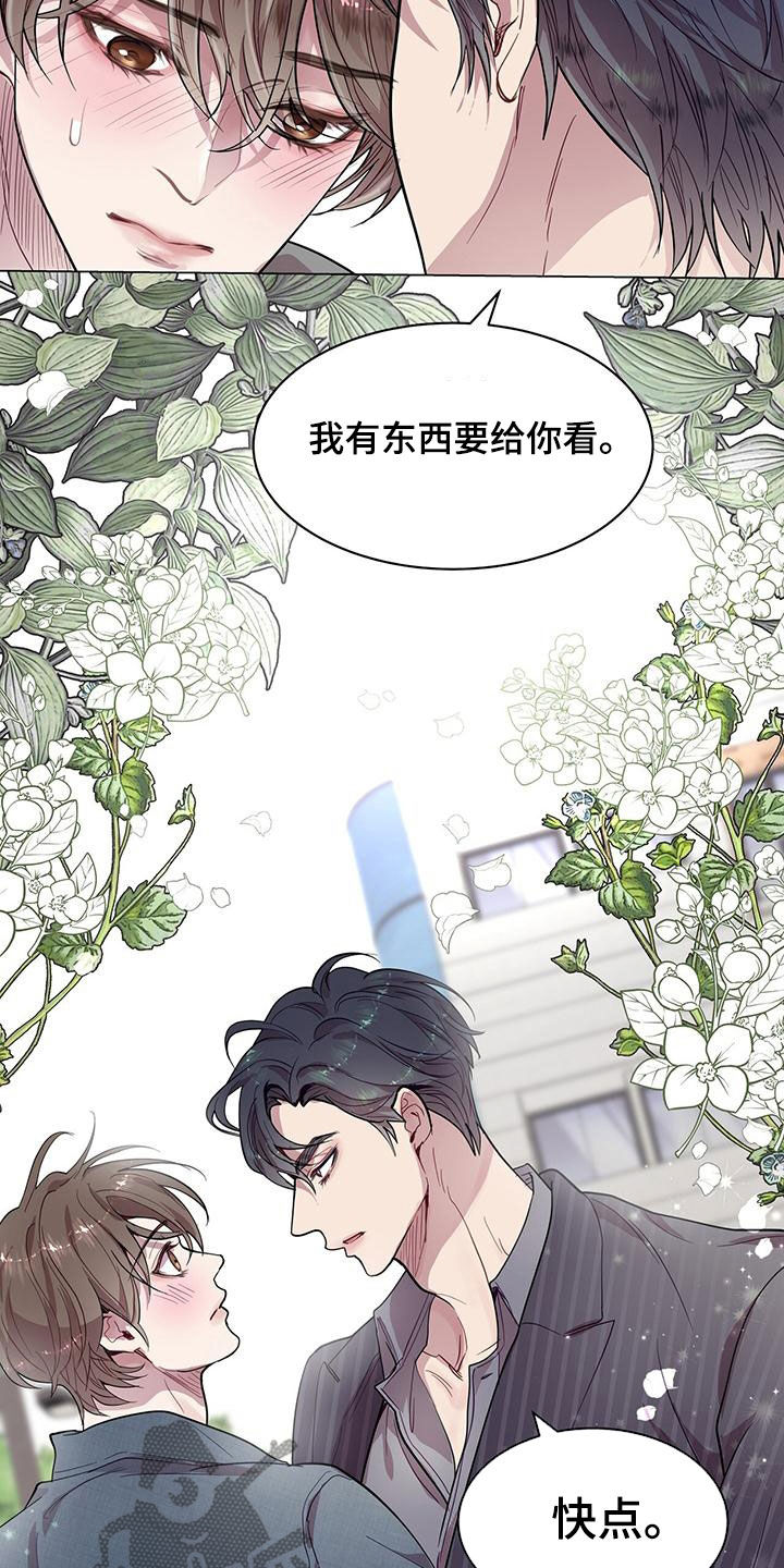 第29章：发展5
