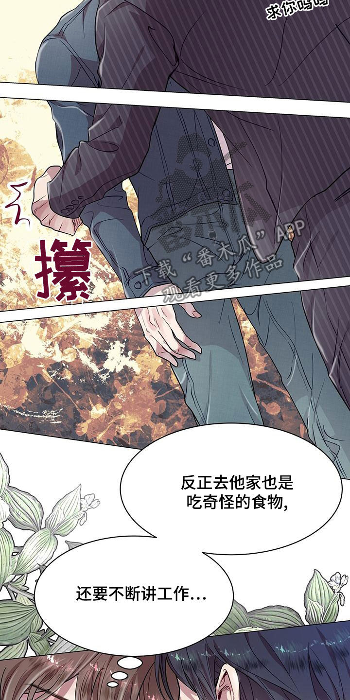 第29章：发展4