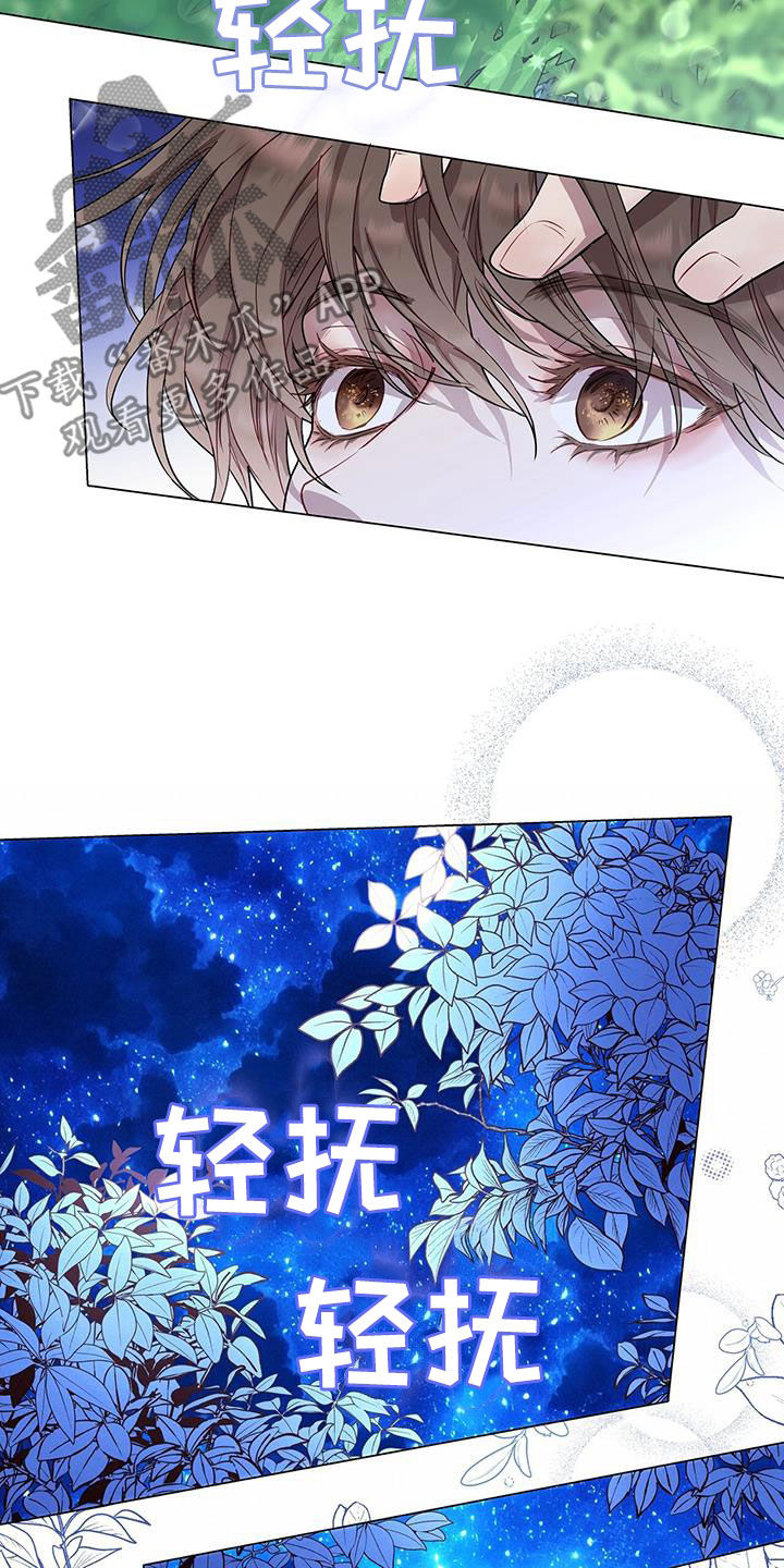第41章：虚张声势7