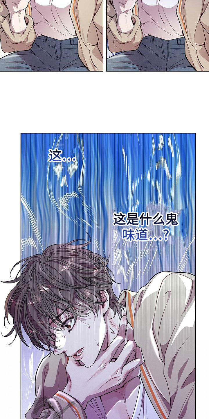第22章：都是假的9