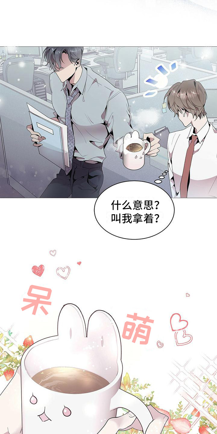 第3章：完美精致5