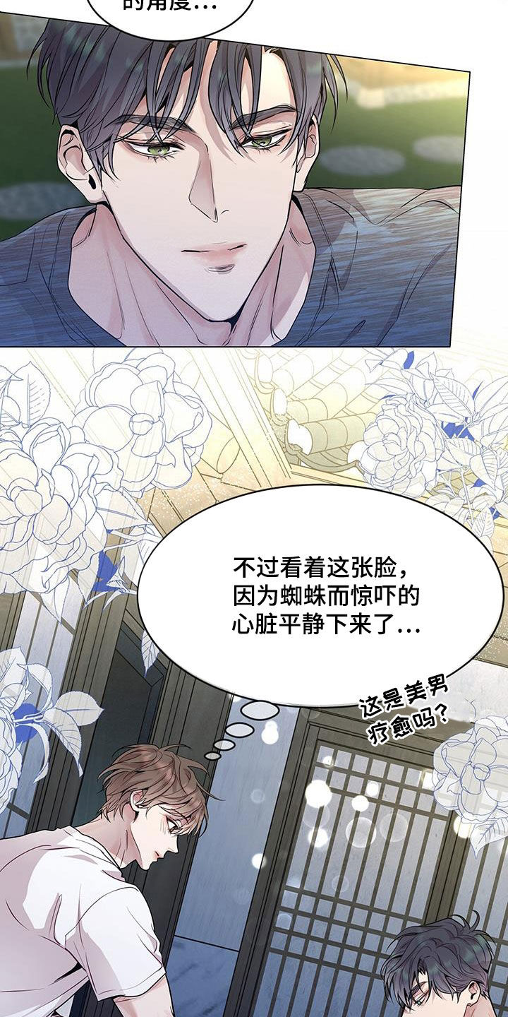 第42章：超大蜘蛛24