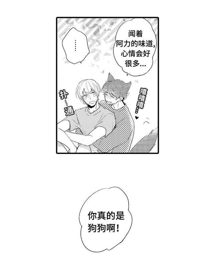 第19章：解开误会12