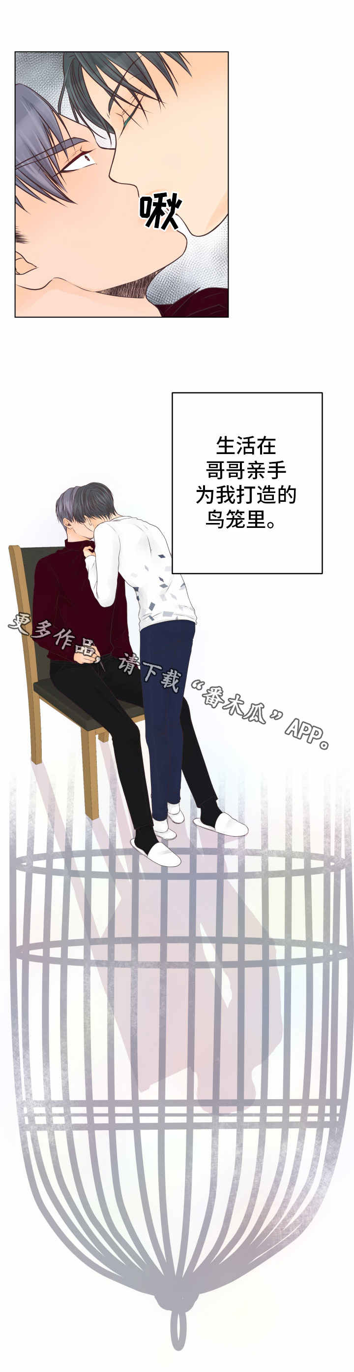 第25章：鸟笼12