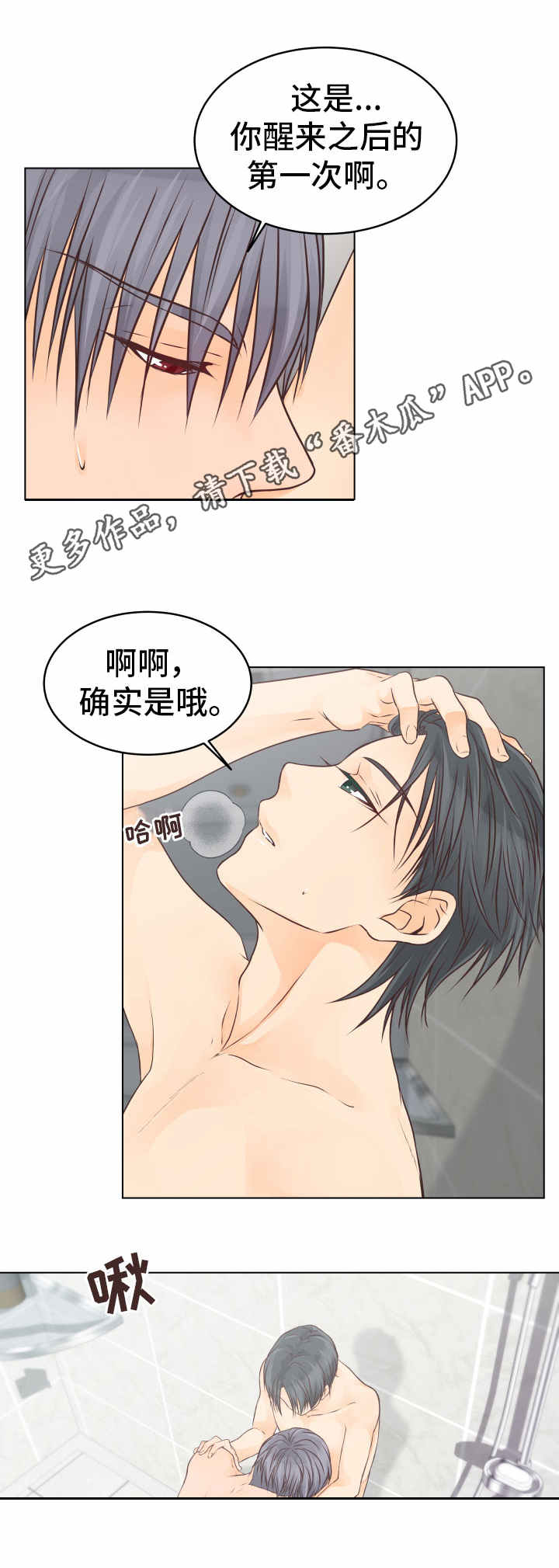 第24章：能力11