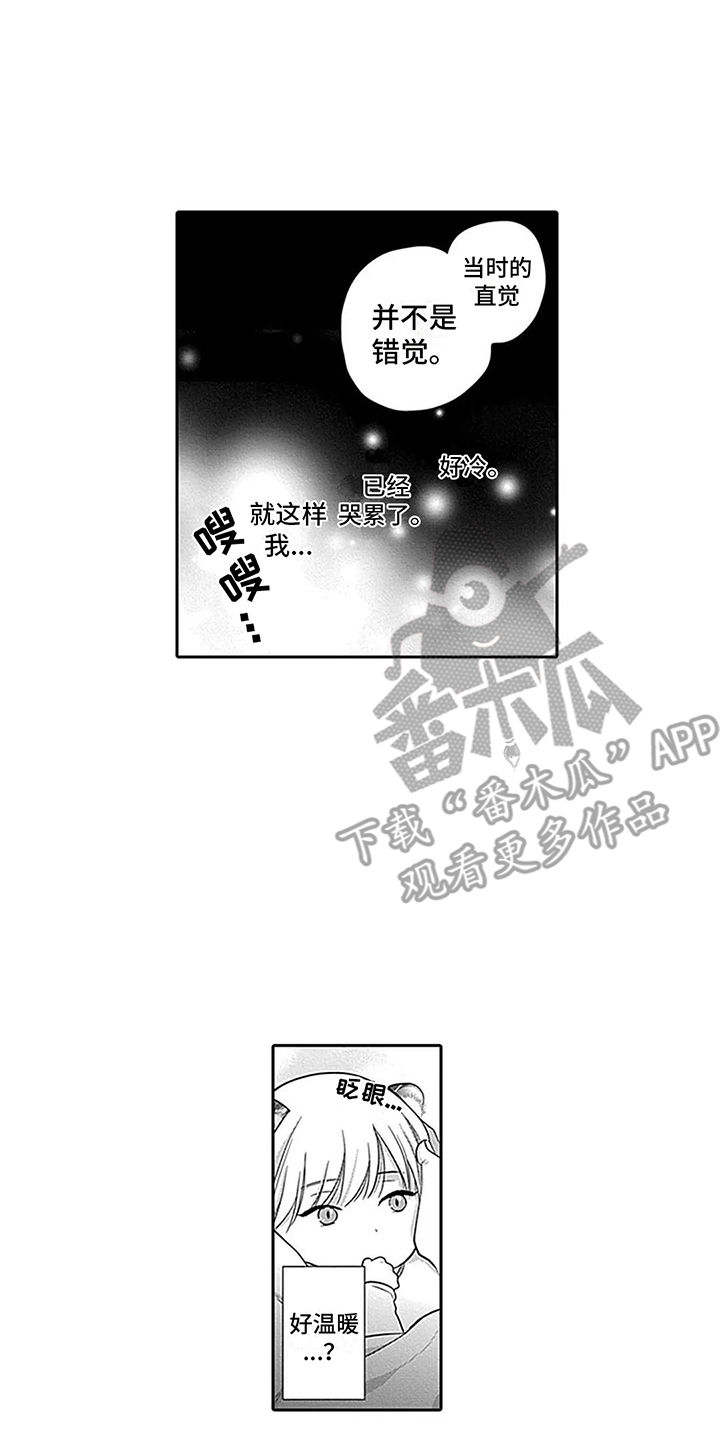 第31章：【番外1】结为伴侣 9