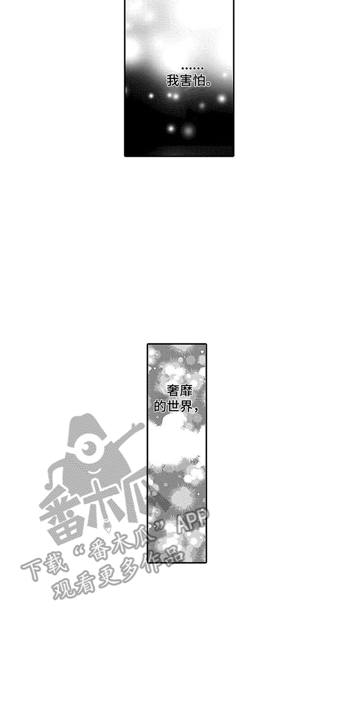 第13章：想起过去11