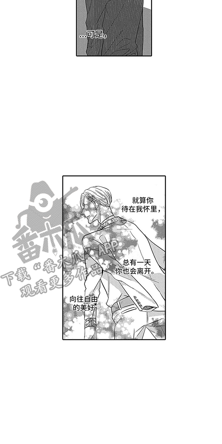 第24章：表白1