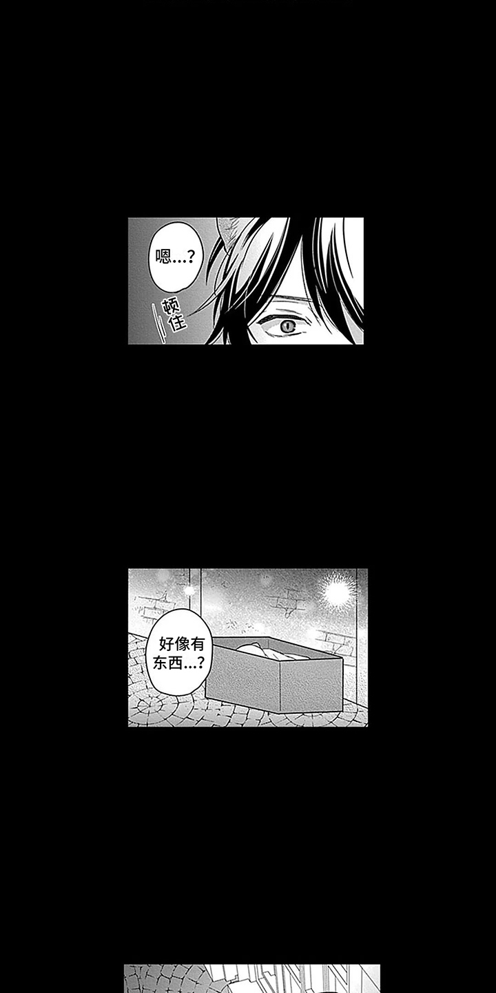 第27章：【番外1】捡来的孩子10