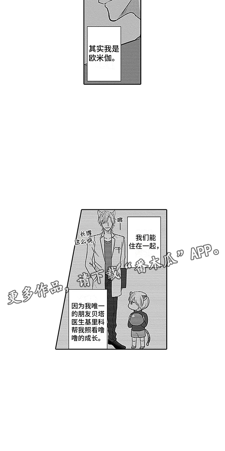 第28章：【番外1】 唯一的问题7
