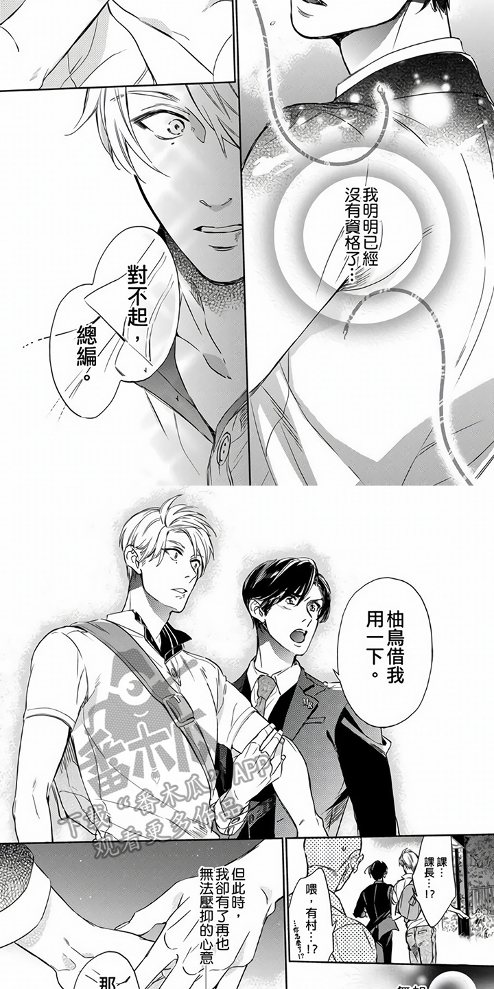 第13章：解释3
