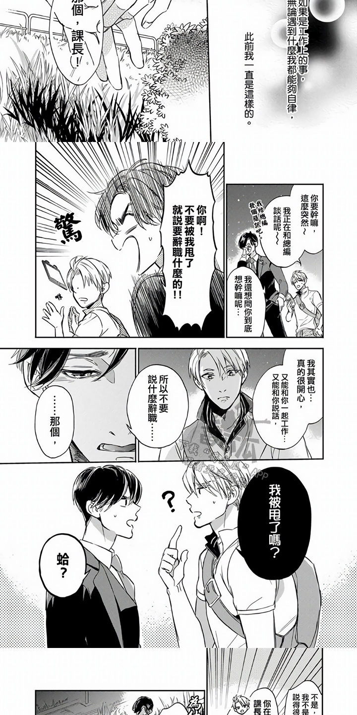 第13章：解释4