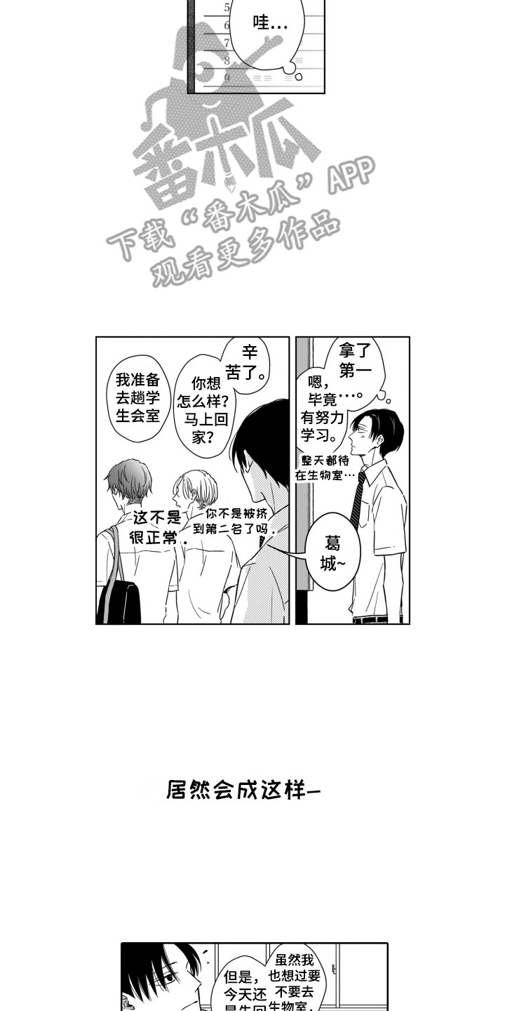 第4章：注视着12