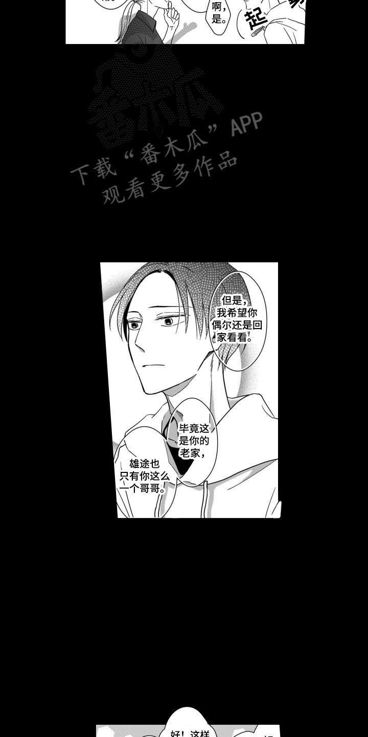 第31章：能理解11